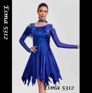 Esma 5312